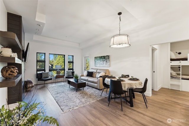 interior space featuring a raised ceiling and light hardwood / wood-style floors