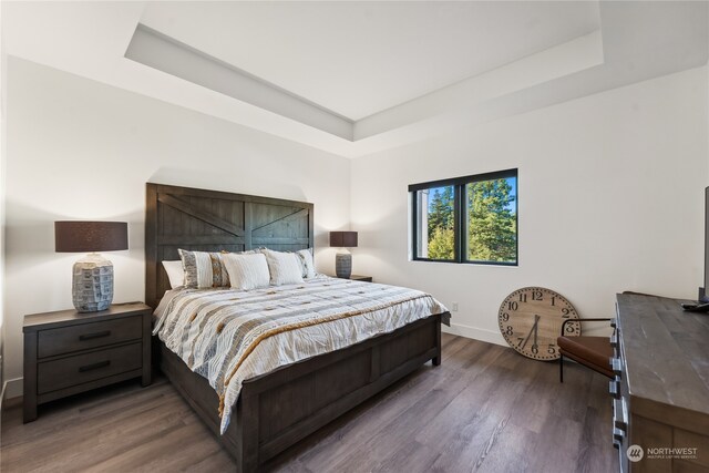 bedroom featuring a tray ceiling and wood-type flooring