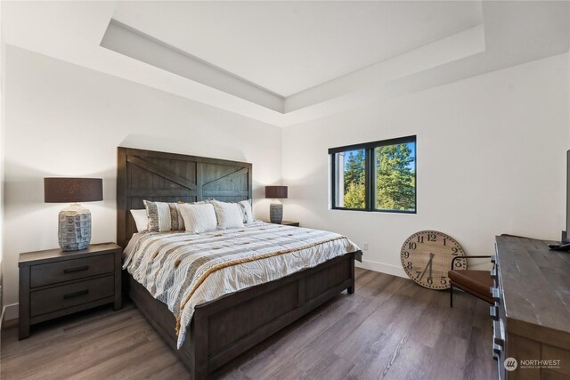 3760 Suncadia Trl Unit 313, Cle Elum, WA 98922 - bedroom featuring a tray ceiling, baseboards, and wood finished floors