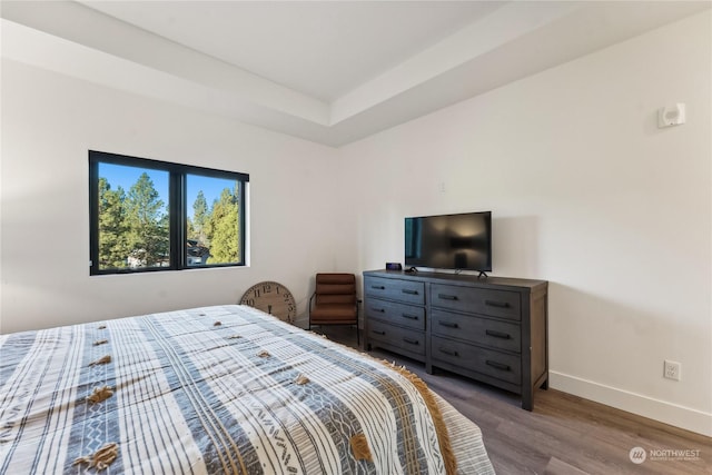 3760 Suncadia Trl Unit 313, Cle Elum, WA 98922 - bedroom with a tray ceiling, baseboards, and wood finished floors