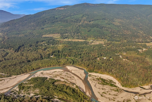 birds eye view of property featuring a mountain view