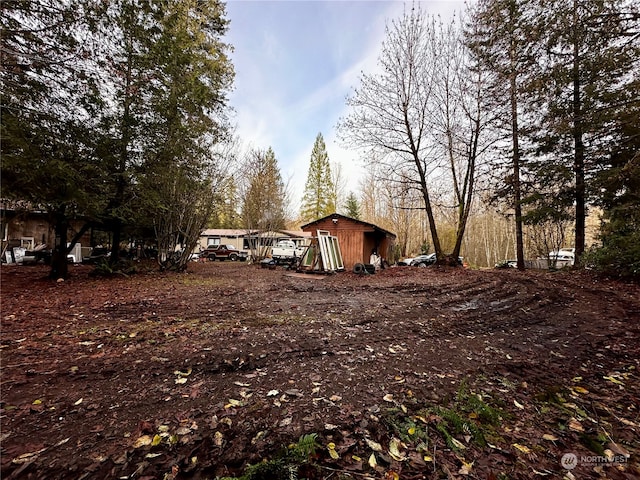 view of yard with a shed