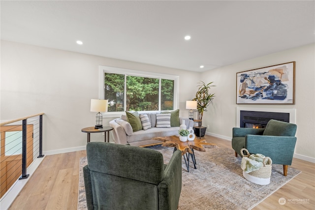 living room featuring light hardwood / wood-style flooring