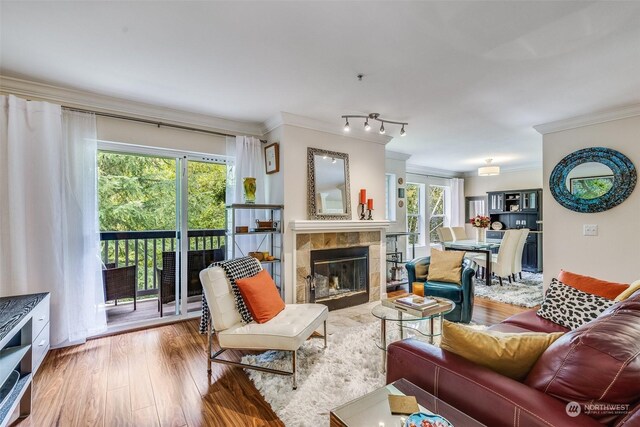 living room featuring ornamental molding, wood-type flooring, a fireplace, and a healthy amount of sunlight