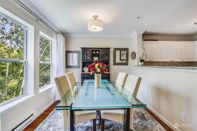 dining space with a healthy amount of sunlight, dark hardwood / wood-style floors, and a baseboard heating unit