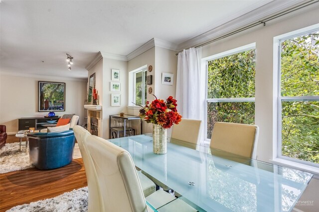 dining room featuring crown molding and hardwood / wood-style flooring