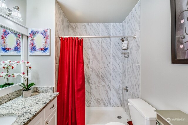 bathroom featuring a shower with curtain, vanity, and toilet