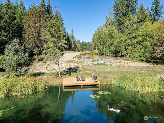 dock area featuring a water view