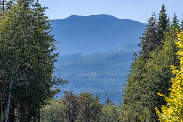 property view of mountains