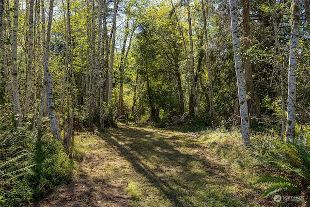 view of nature