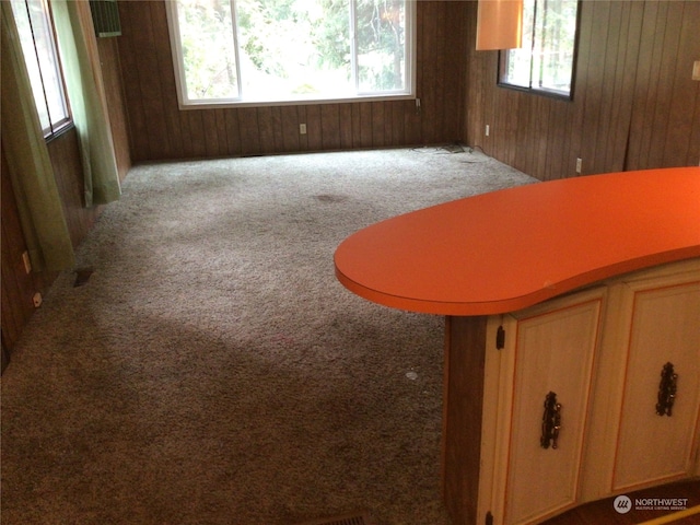 interior space featuring carpet and wooden walls