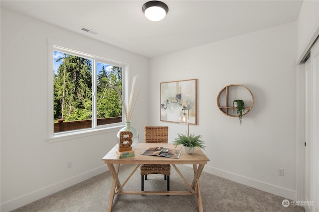 office area featuring carpet