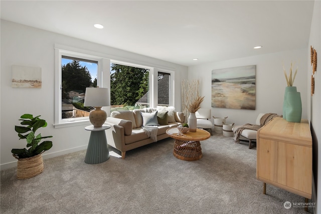 living room with carpet flooring