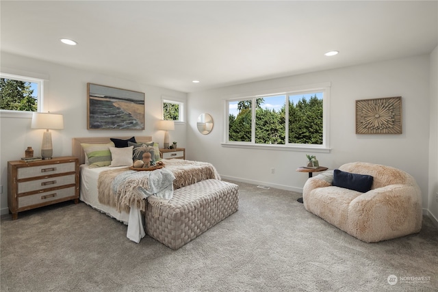 carpeted bedroom with multiple windows