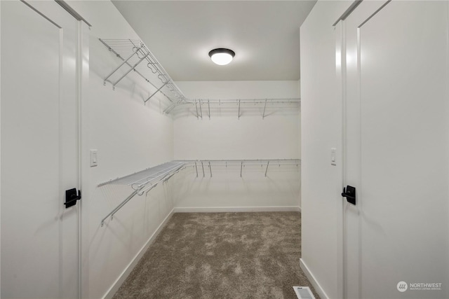 walk in closet with carpet