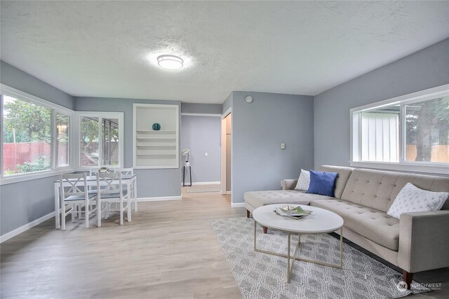 living room featuring wood finished floors, a textured ceiling, and baseboards