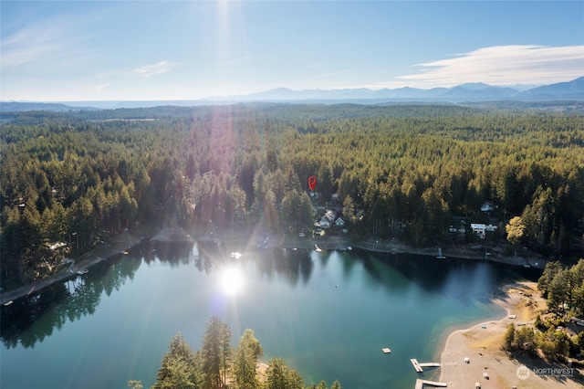 drone / aerial view with a water and mountain view