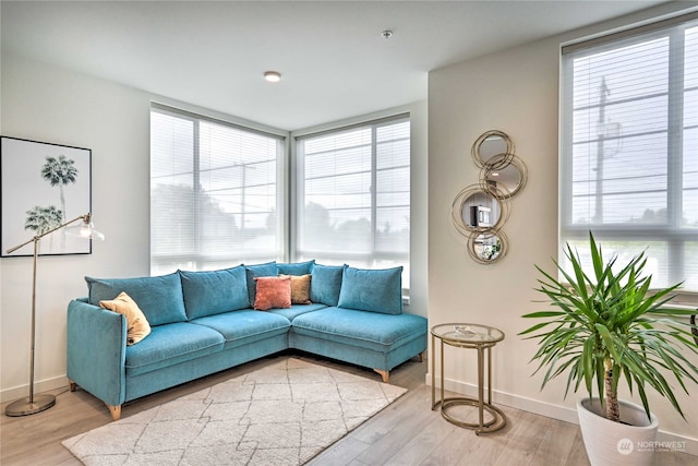 living room featuring light hardwood / wood-style floors