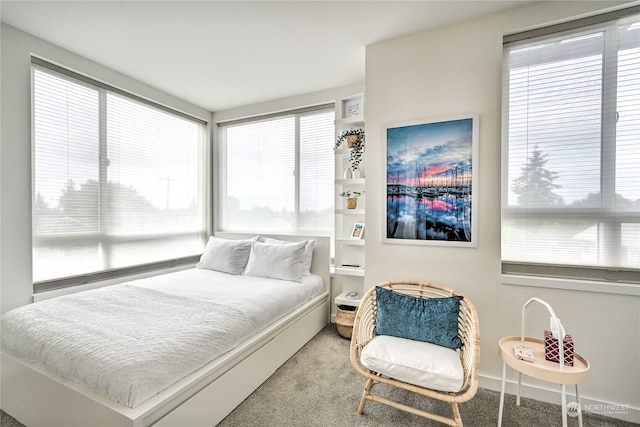 bedroom featuring multiple windows and carpet flooring