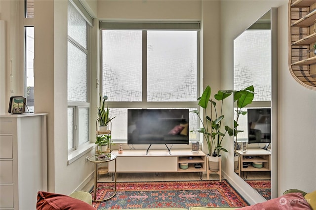 living room with hardwood / wood-style flooring