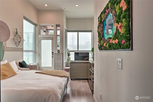 bedroom featuring multiple windows and hardwood / wood-style flooring