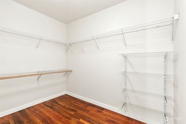 spacious closet featuring hardwood / wood-style flooring