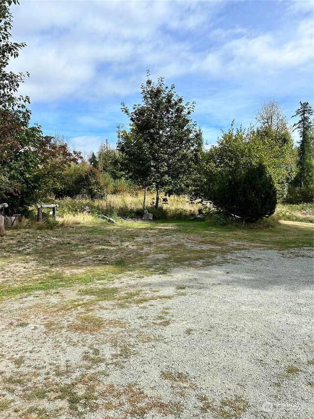 464A Peters Rd, Randle, WA 98377 - view of yard