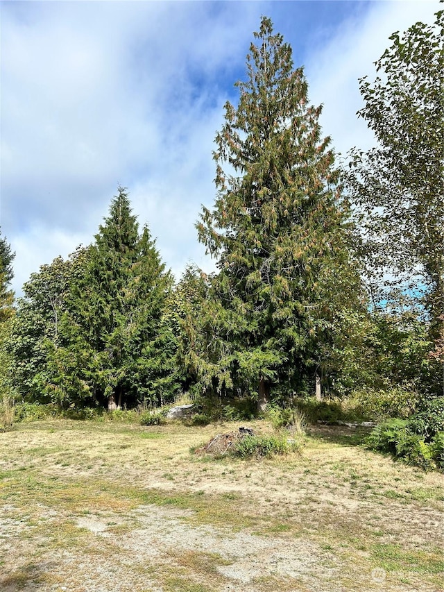 464A Peters Rd, Randle, WA 98377 - view of landscape