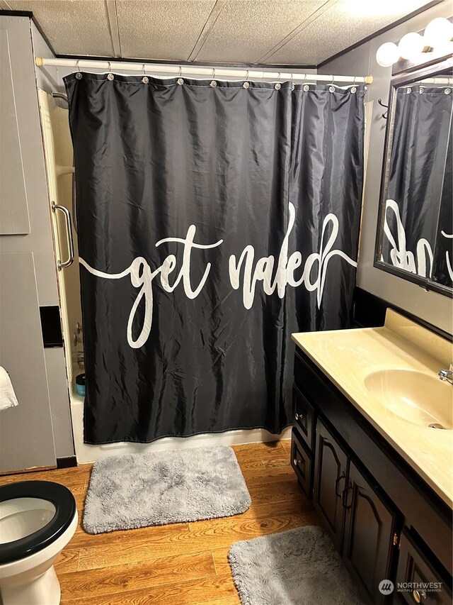 bathroom with wood-type flooring, vanity, toilet, and a shower with shower curtain