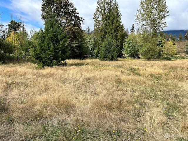 464A Peters Rd, Randle, WA 98377 - view of local wilderness