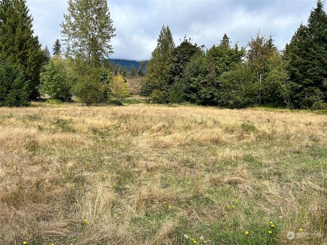 view of nature with a rural view