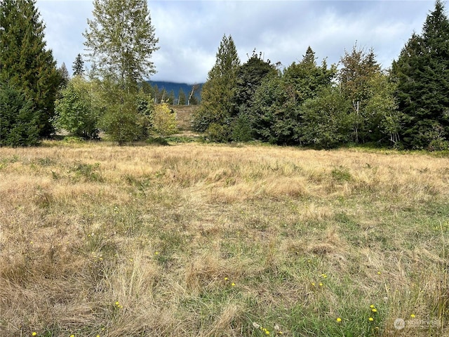 464A Peters Rd, Randle, WA 98377 - view of landscape