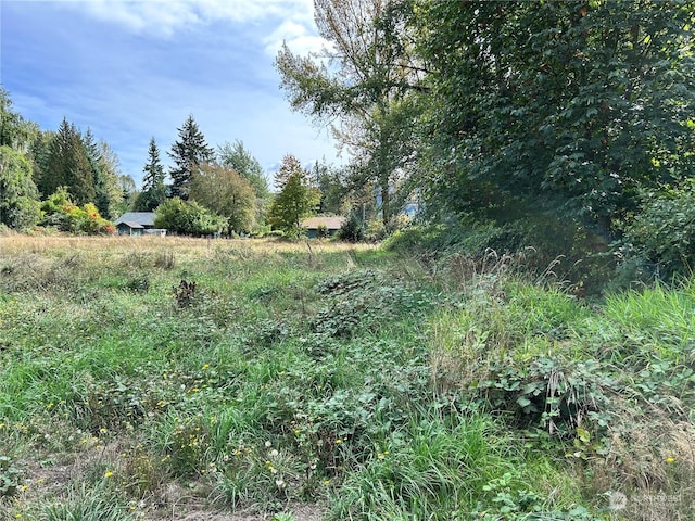 464A Peters Rd, Randle, WA 98377 - view of local wilderness