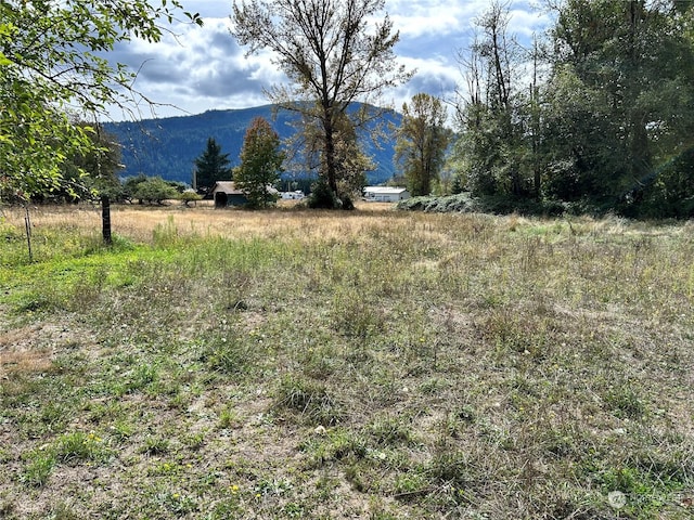 464A Peters Rd, Randle, WA 98377 - view of mountain feature