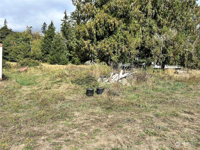 464A Peters Rd, Randle, WA 98377 - view of local wilderness