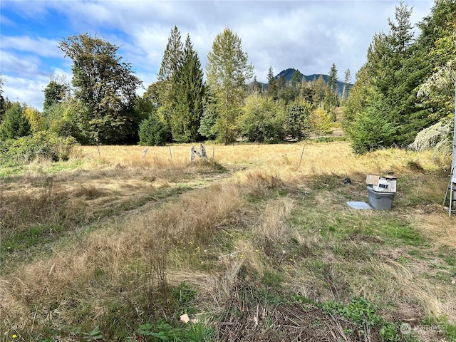 464A Peters Rd, Randle, WA 98377 - view of yard featuring a mountain view