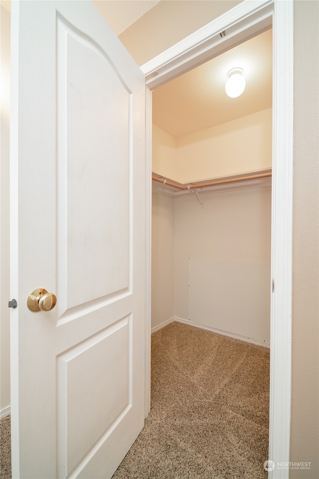 spacious closet with carpet floors