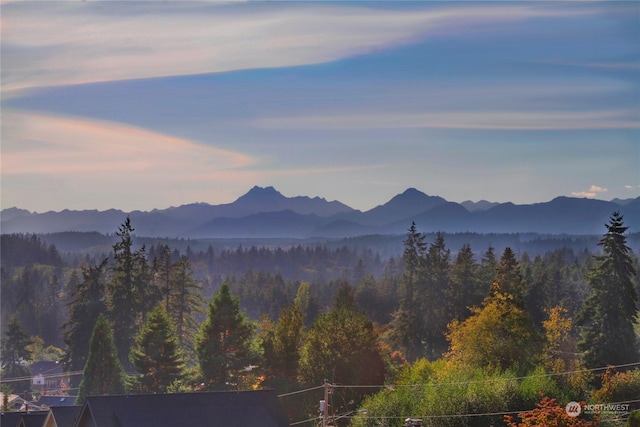 property view of mountains featuring a wooded view