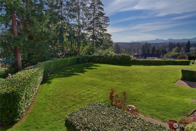 view of yard featuring a mountain view