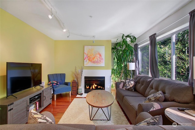 living room with a tiled fireplace, track lighting, and wood finished floors