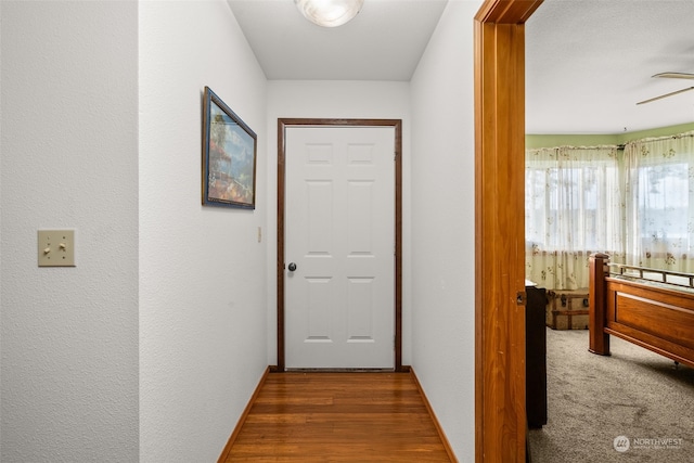 hallway with dark wood-type flooring