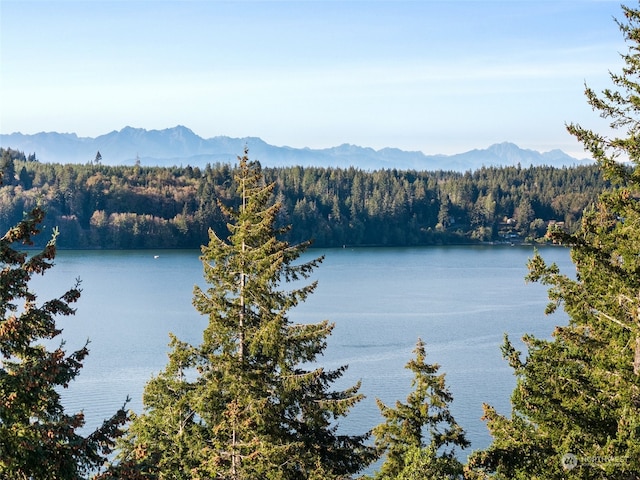 property view of water with a mountain view