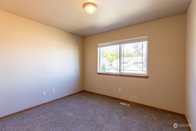 spare room featuring carpet flooring