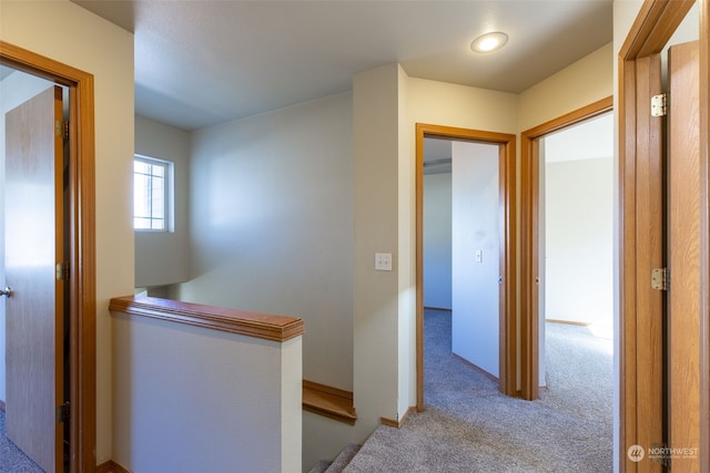 hallway featuring light carpet