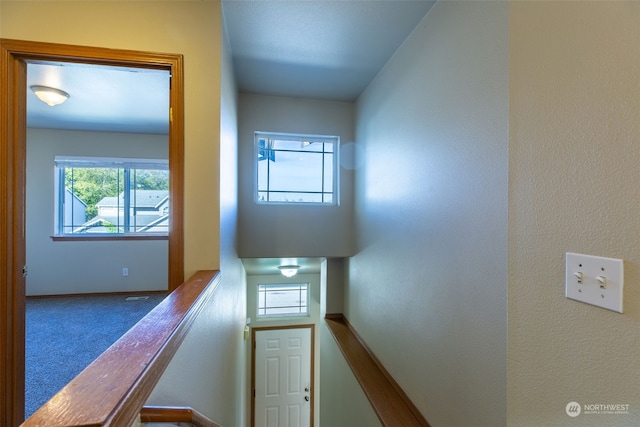 stairs featuring carpet flooring