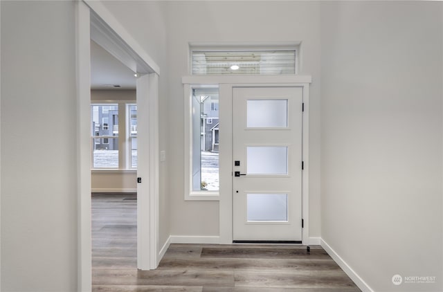 entryway featuring hardwood / wood-style flooring