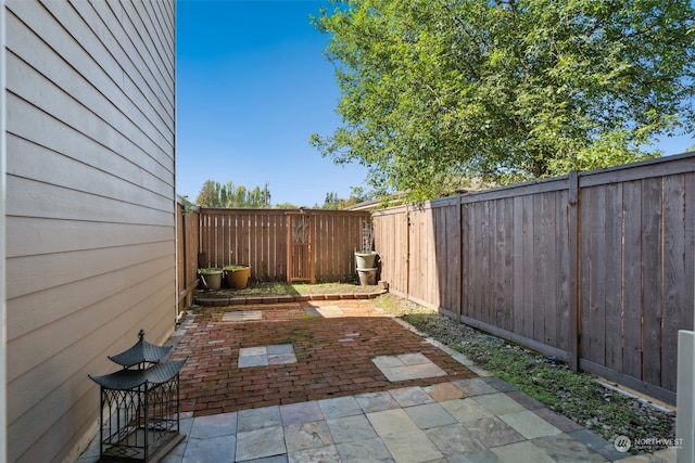 view of yard featuring a patio area