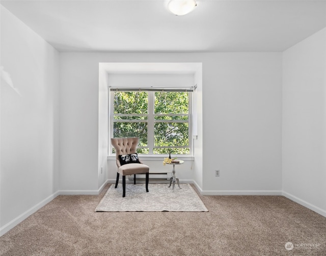 sitting room featuring light carpet