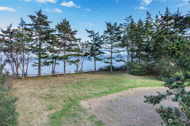 view of yard with a water view