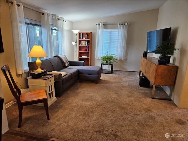 view of carpeted living room